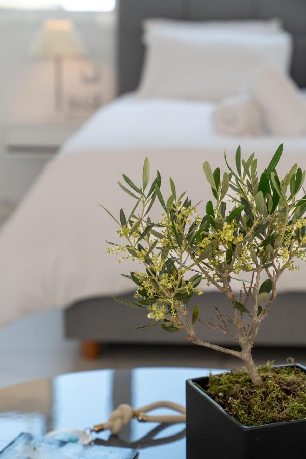 Olvar Suites アテネ エクステリア 写真